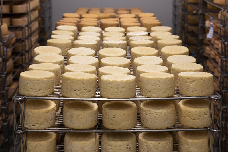 Parmesan Cheese